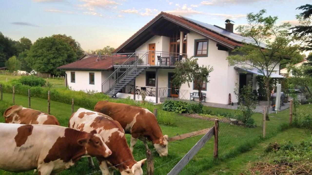 Exclusiv - Ferienwohnung Hinterreiter Ainring Kültér fotó